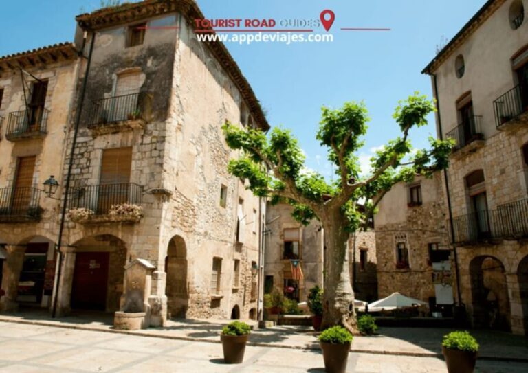 Barcelona: Tour Private Besalu, Dalí & Wine Tasting - Is This Tour Worth It?