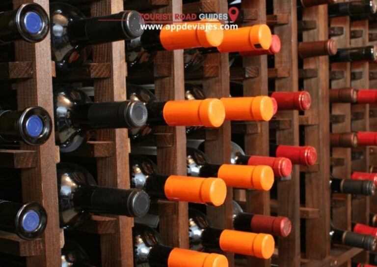 Barcelona: Tour Private Montserrat, Wines & Sitges - The Wine Experience at Familia Torres