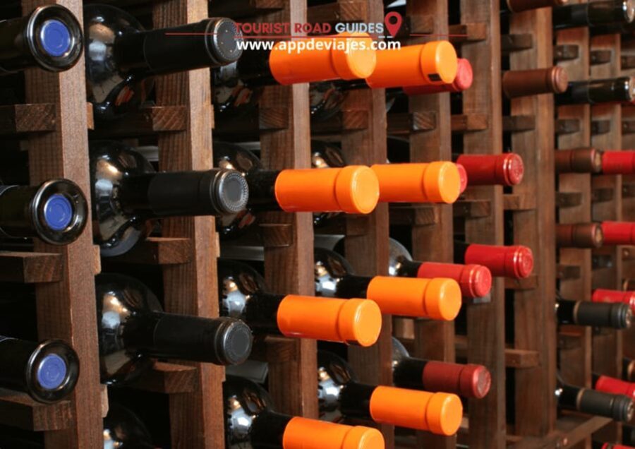 Barcelona: Tour Private Montserrat, Wines & Sitges - The Wine Experience at Familia Torres