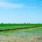 Barcelona: Tuna Baths in the Ebro Delta Route and Olive Tree Tour - Who Should Consider This Tour?