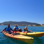 Barcelona Wild Experience: Kayak & Snorkel in Costa Brava - The Real-World Experience: Insights from Reviews
