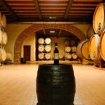 Bardolino: Tour and Tasting at Cantina Lenotti - The Tasting Experience