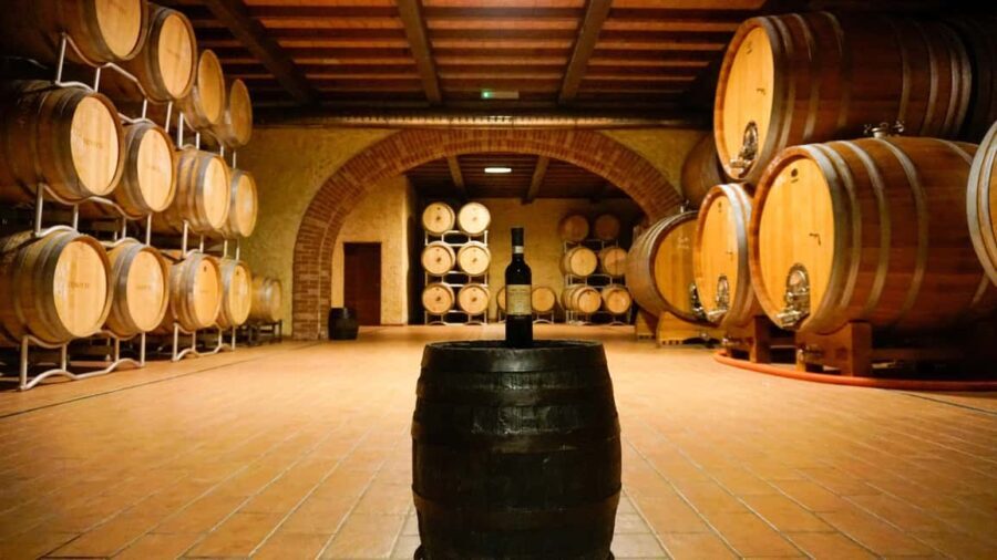 Bardolino: Tour and Tasting at Cantina Lenotti - The Tasting Experience