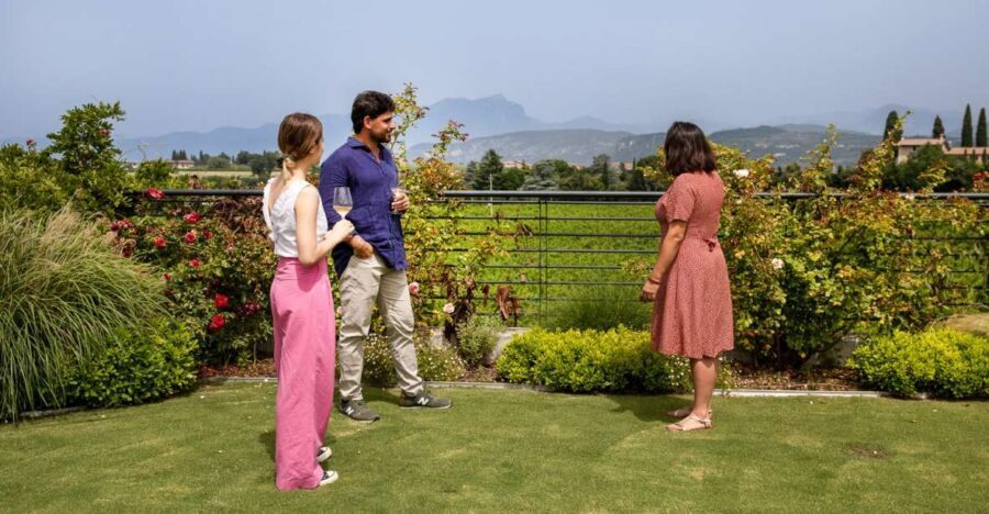 Bardolino: Vineyard Tour with Wine and Food Tasting - Reviews in Perspective: What Travelers Are Saying