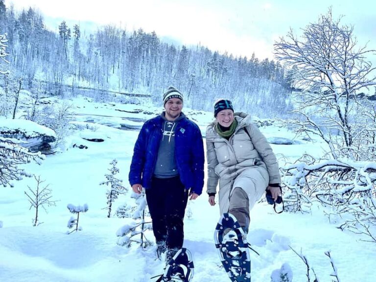 Bardufoss: Snowshoe hike to Norway's National Waterfalls - Is it Worth the Price?