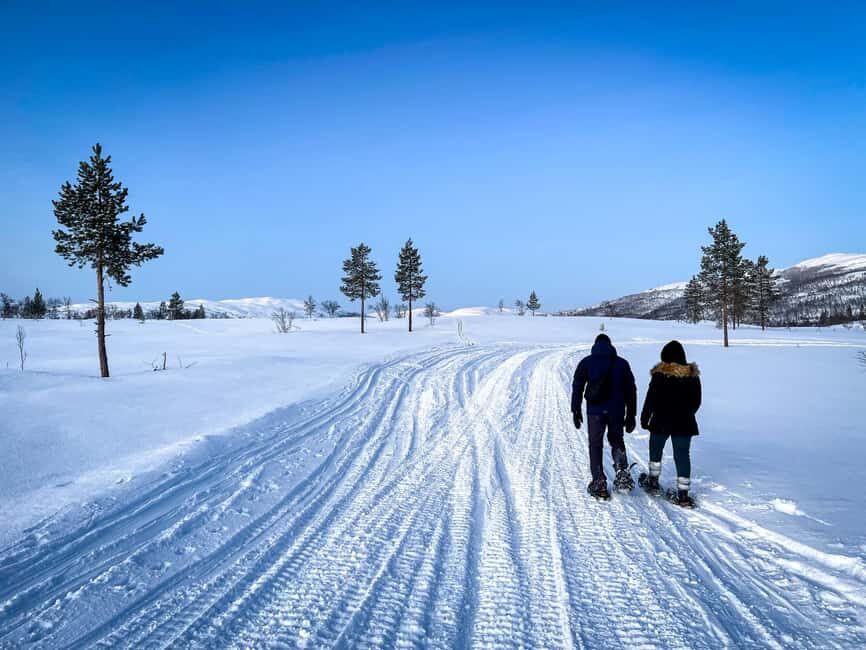 Bardufoss: Snowshoe Hike with Campfire, Lunch and Great View - Price and Value