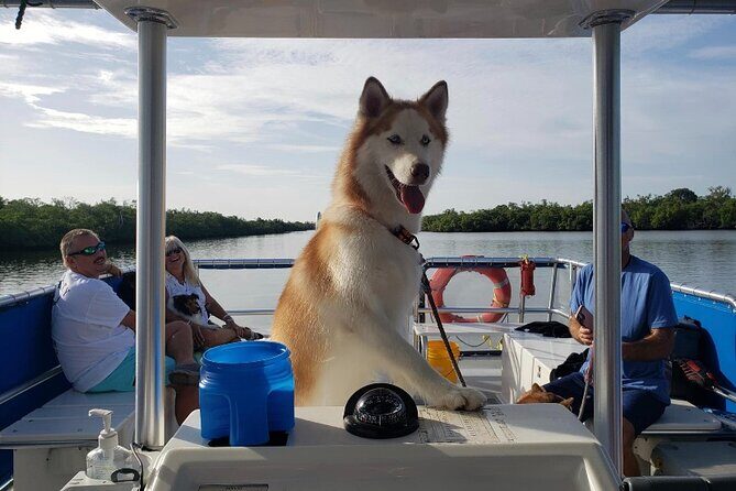 Bark on the Ark - What Do the Reviews Say?