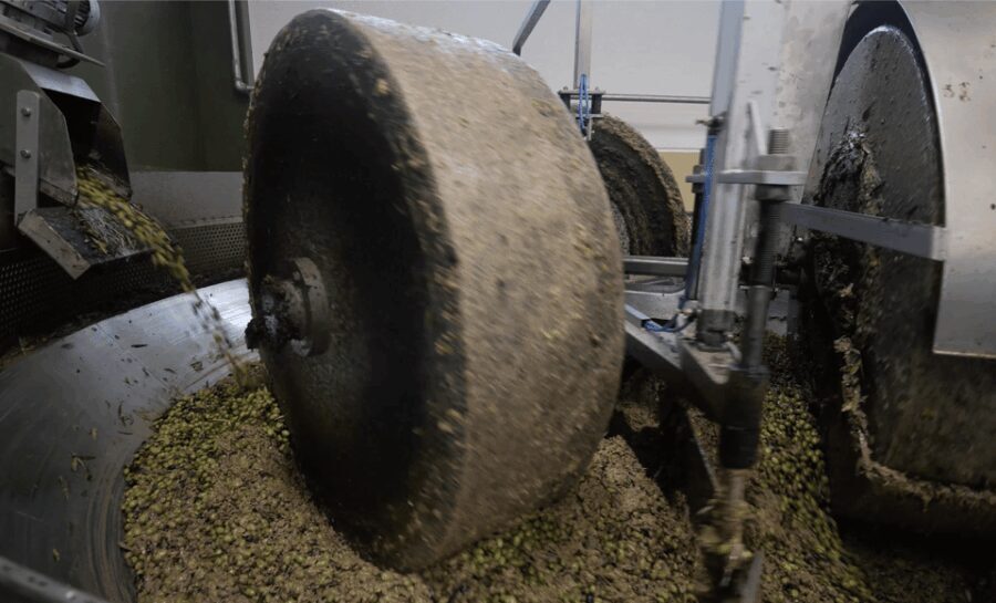 Barletta-Andria-Trani: oil mill tour and oil tasting - Discovering Apulia’s Olive Heritage: What You Can Expect