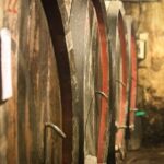 Barolo & Barbaresco Wine Tour with a Winemaker - An In-Depth Look at the Tour Experience