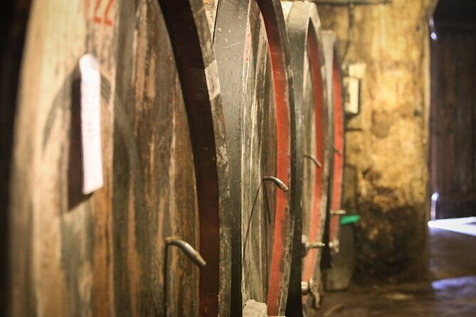 Barolo & Barbaresco Wine Tour with a Winemaker - An In-Depth Look at the Tour Experience