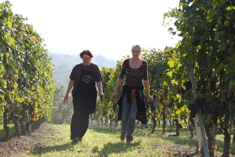 BAROLO: GUIDED VISIT TO THE WINERY AND TASTING WITH THE PRODUCER - How It Compares to Other Experiences