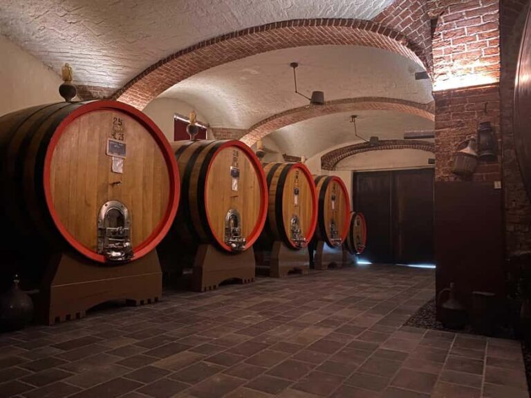 Barolo: Wine Tasting in the Heart of Cannubi - What Makes This Tour Stand Out?