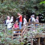 Bartram Trail Hike plus Wine Tasting - How the Tour is Structured