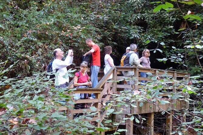 Bartram Trail Hike plus Wine Tasting - How the Tour is Structured