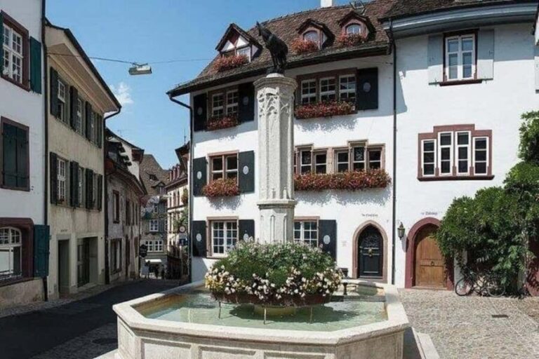 Basel City Tour: The Essentials - Who Is This Tour Best For?