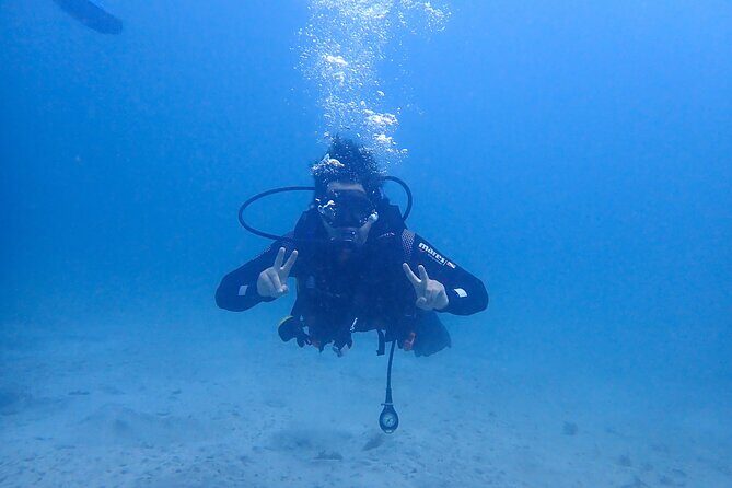Basic Diver course for beginners with 1 dive in the Ocean - Key Points