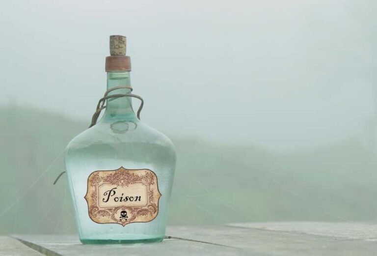 Bathers, doctors, pharmacists - a healing adventure tour through Ludwigsburg - Practical Details