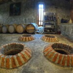 Batumi: Exploring Botanical Garden + Family Wine Tasting - Who This Tour Is Best For