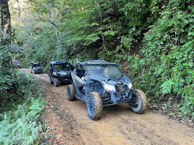 Batumi: Mtirala ATV, Buggy Maverick & Horse Riding Trip - What Do the Activities Involve?