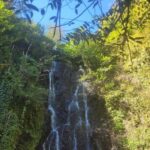 Batumi: Private Ajarian Mountains Tour with Waterfalls - An In-Depth Look at the Ajarian Mountains Tour