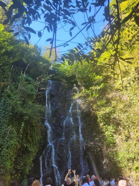 Batumi: Private Ajarian Mountains Tour with Waterfalls - An In-Depth Look at the Ajarian Mountains Tour