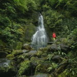 Batumi to Mtirala National park - Half day hiking group tour - In-Depth Look at the Itinerary