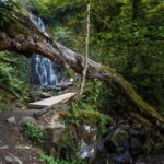 Batumi, Waterfalls & Folklore - group tour from Kutaisi - What Travelers Say