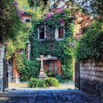 Bazaar Saturday - Convent of Carmen - San Angel - The Experience on the Ground