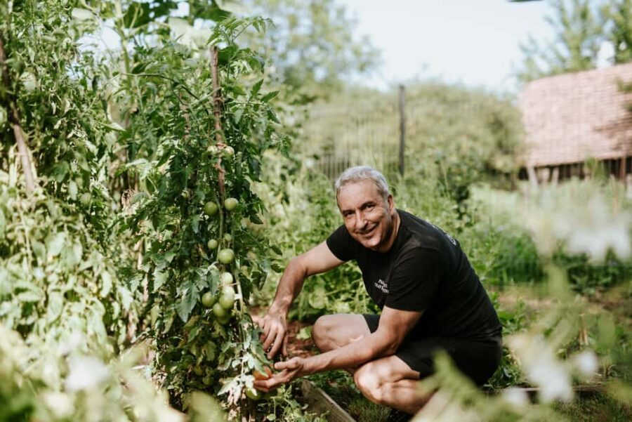 Bazna: Saxon Dinner in a rural house from the village - Exploring the Experience: What’s Included and How It Works