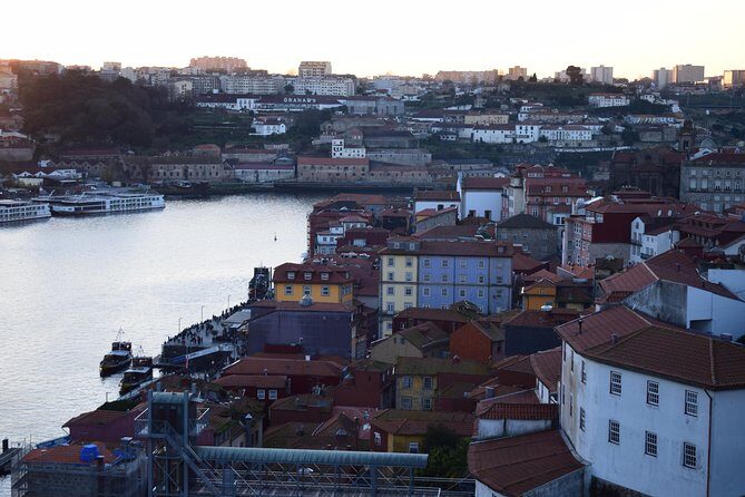 Be a local in Porto - One day private tour from Lisbon - What we love about this tour