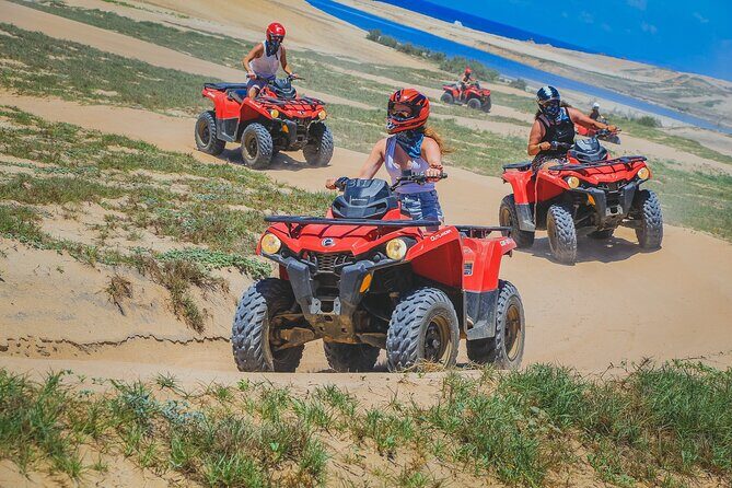 Beach ATV & Camel Ride COMBO in Cabo by Cactus Tours Park - The Group Dynamics and Group Size