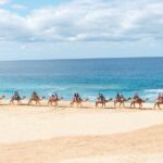 Beach Camel Ride & Encounter in Cabo - What’s Good and What’s Not