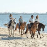 Beach Horseback Riding in GROUP + Photo Report - PDT - Authentic Experiences from Reviews