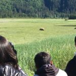 Bear Viewing Excursion and Airplane Adventure Tour - The Itinerary & What to Expect