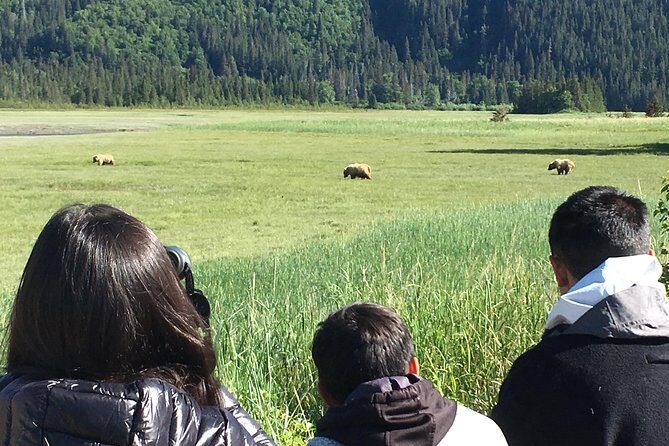 Bear Viewing Excursion and Airplane Adventure Tour - The Itinerary & What to Expect