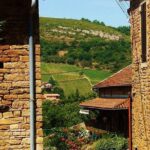 Beaujolais wine tour from Lyon half day - Who Is This Tour Best For?