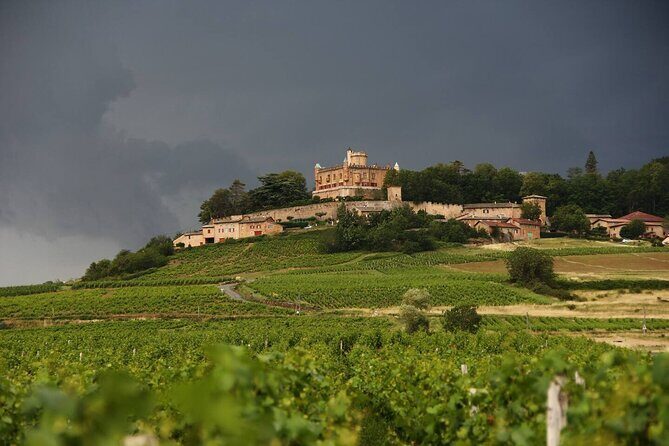 Beaujolais Wine Tour - Tastings & Gourmet Picnic Lunch - What Makes This Tour Stand Out?