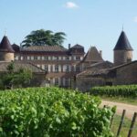 Beaune & Burgundy Vineyards Private Day Trip from Lyon - The Experience: What Travelers Can Expect