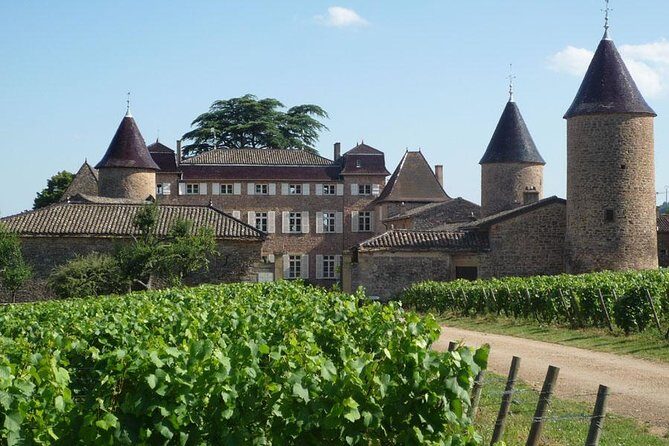 Beaune & Burgundy Vineyards Private Day Trip from Lyon - The Experience: What Travelers Can Expect