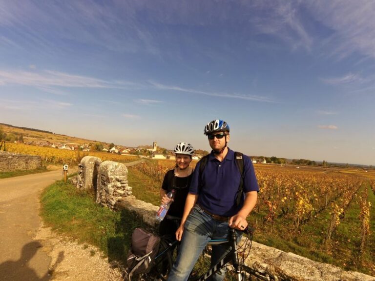 Beaune: Winery Tour by Bike with Wine Tasting - Who Should Consider This Tour?