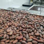 Become a chocolatier for a day! - The guides and their enthusiasm