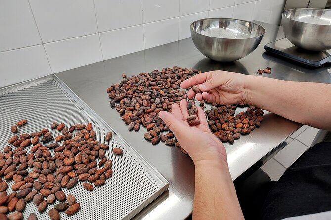 Become a chocolatier for a day, in Modica raw chocolate - Value and Cost Analysis