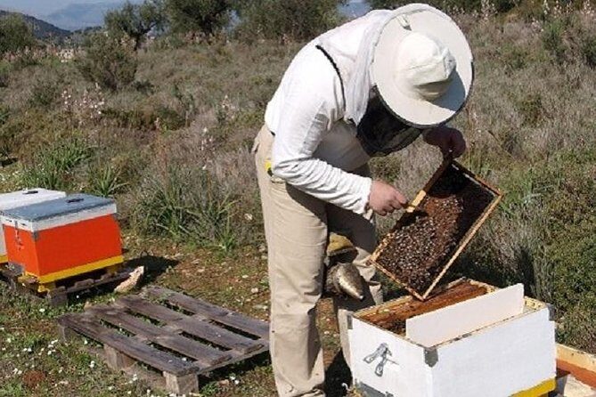 Beekeeper for a Day close to Nafplio - The Cultural and Historical Connection