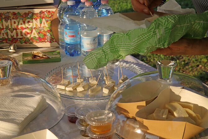 Beekeeping Farm Tour and Tasting Experience in Lazise - Analyzing the Value