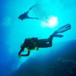 Beginner Scuba Dive with Scubapoint Tenerife in Turtle Area - An Honest Look at the Beginner Scuba Dive Experience in Tenerife