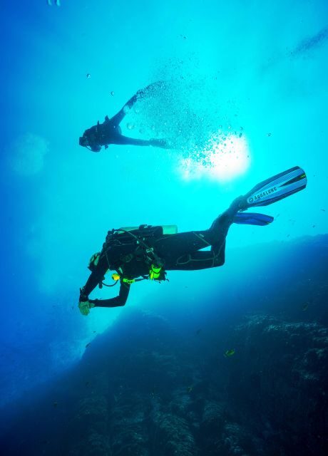 Beginner Scuba Dive with Scubapoint Tenerife in Turtle Area - An Honest Look at the Beginner Scuba Dive Experience in Tenerife