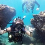 Beginner Scuba Diving Adventure with Videos in Honolulu - Who Will Love This Tour?