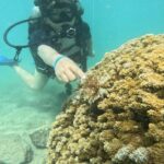 Beginner Scuba Experience with Video Package in Honolulu - What the Experience Looks Like From Start to Finish