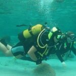 Beginners Diving in Santa Ponsa - The Value of the Tour: Is It Worth It?