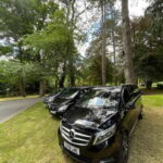 Belfast castle & Peace walls & murals tour - The Transportation